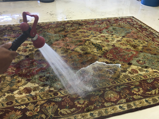 Antique Rug Cleaning Service