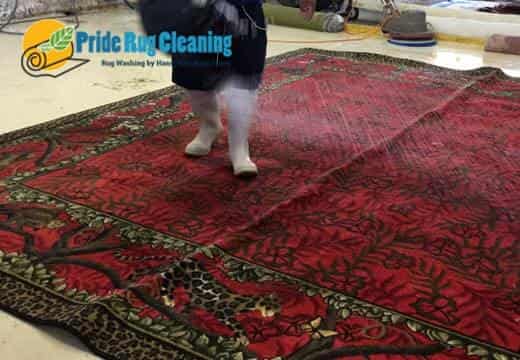 Area Rug Cleaning Process