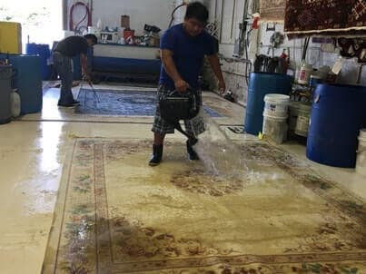 Cleaning Area Rug