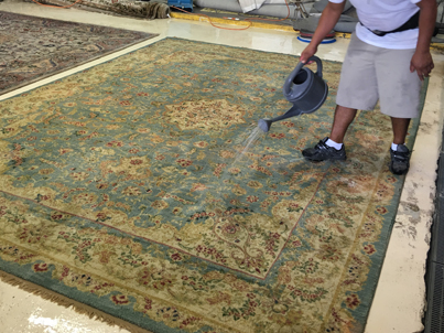 Oriental Rug Cleaning