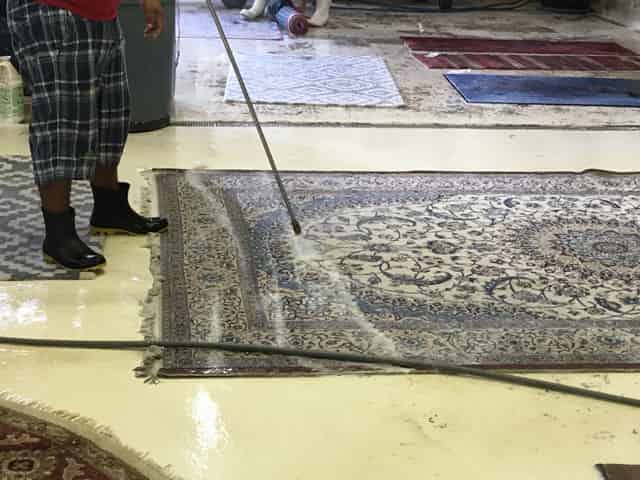 Rug Cleaning & Care