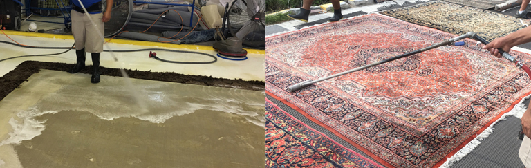 Sisal Rug Cleaning