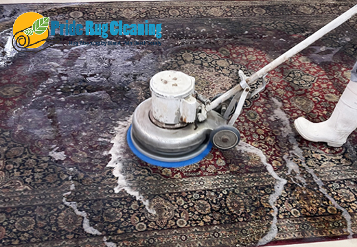Area Persian Rug Cleaning
