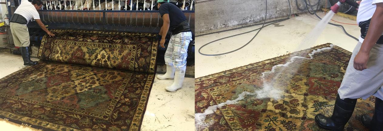 Royal Palm Beach Rug Cleaning