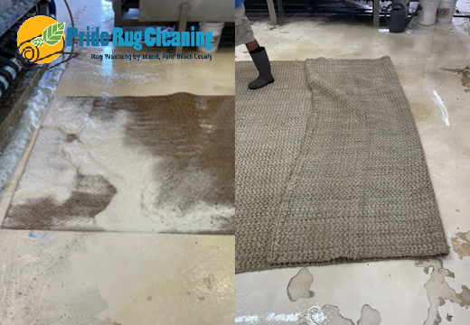 Sisal Rug Hand Cleaning