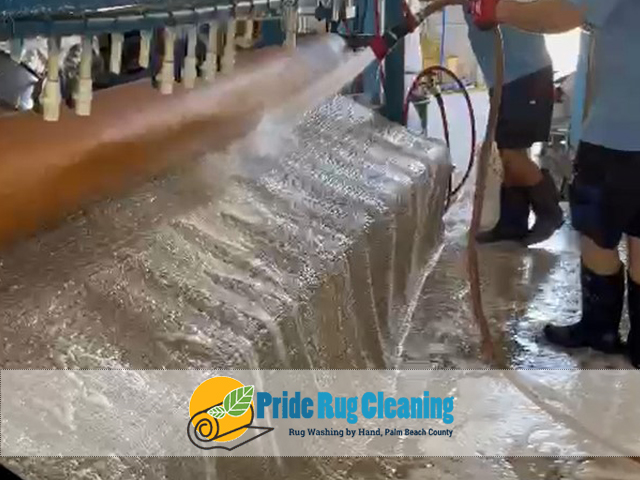 Oriental Rug Cleaning Service Oriental Rug Cleaning Service