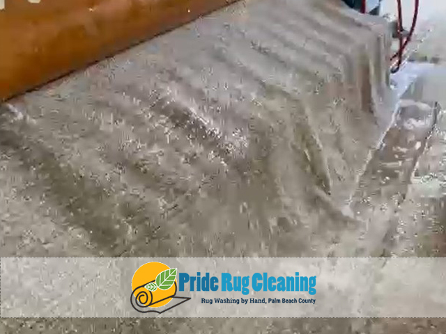 Oriental Rug Cleaning