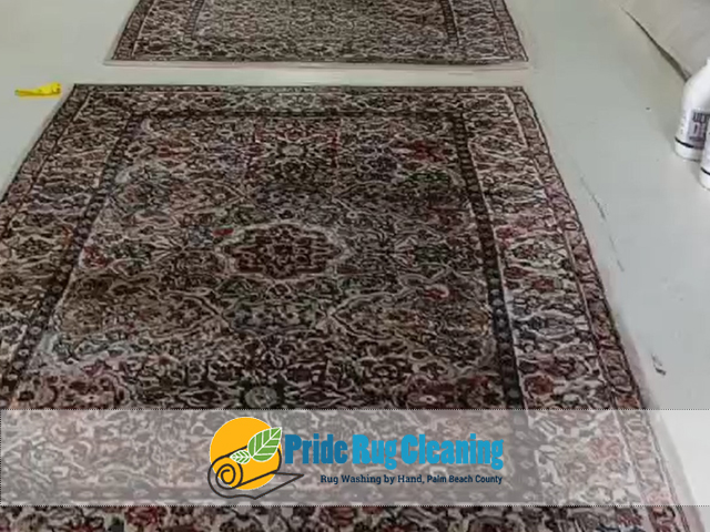 Pet Odor & Stain Removal Service Pet Odor & Stain Removal Service
