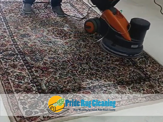 Pet Odor & Stain Removal