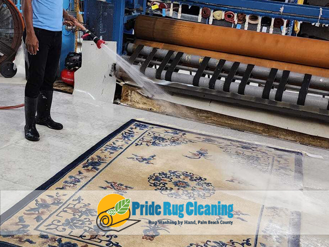 Sisal Rug Cleaning