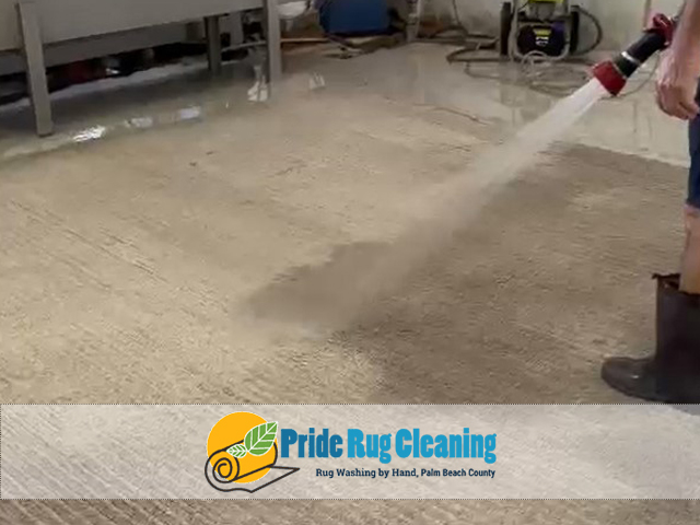 Wool Rug Cleaning Service Wool Rug Cleaning Service