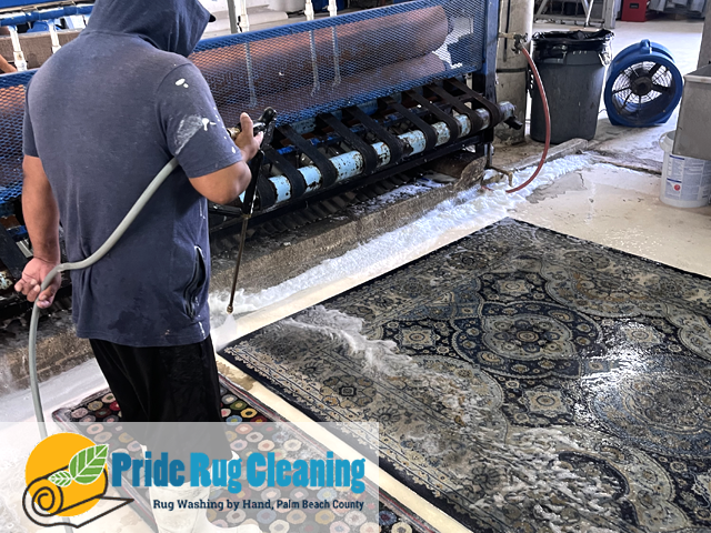 Rug Cleaning Service