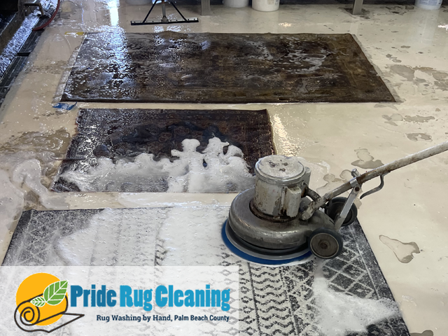 Rug Cleaning