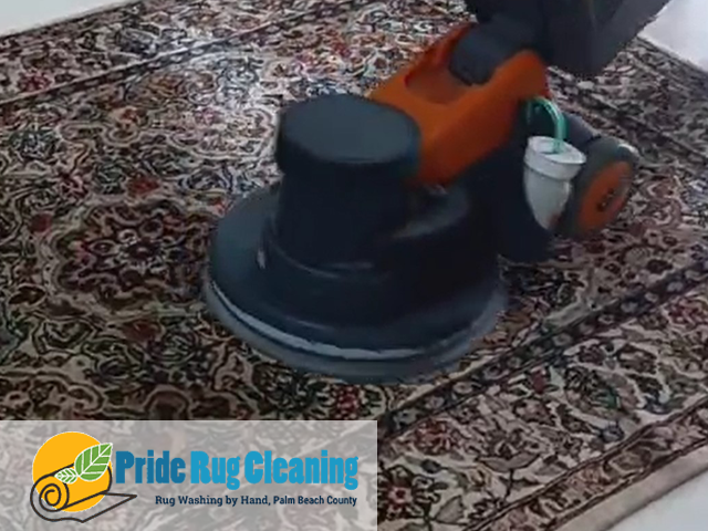Modern Rug Cleaning Service